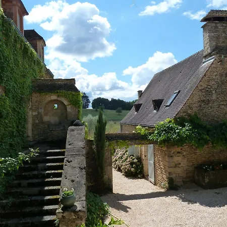 Petite Vignolle